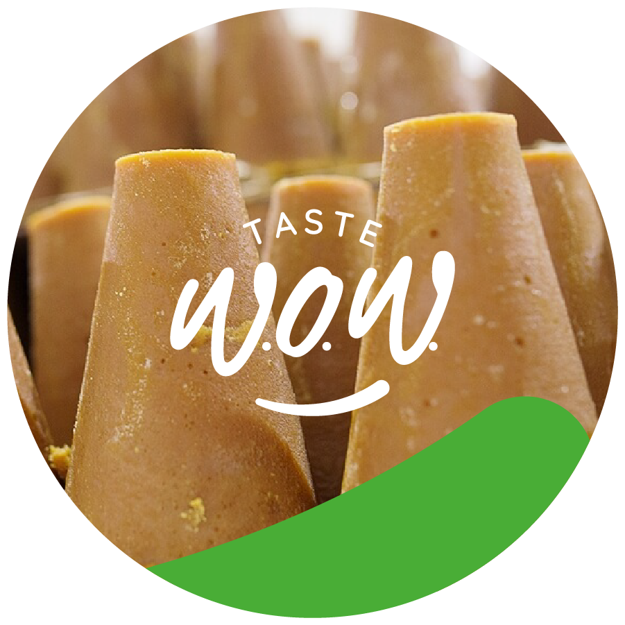 group of piloncillos, above them the white Taste WOW logo